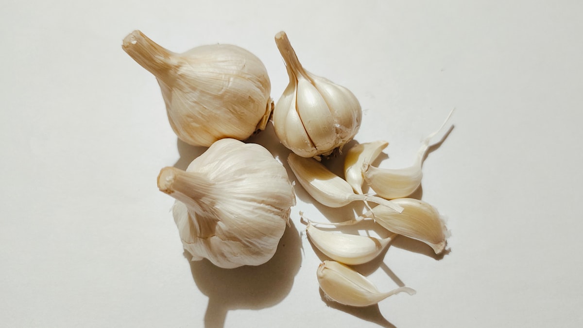 Какао с ядки